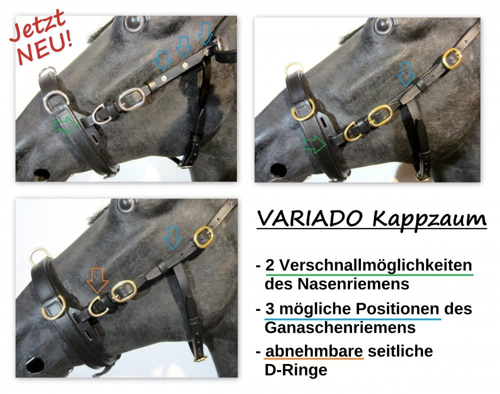 VARIADO 5-Fach Verstellbarer Leder Kappzaum - Anatomisch weich gepolstertert Größe COB - Braun mit goldenem Beschlag
