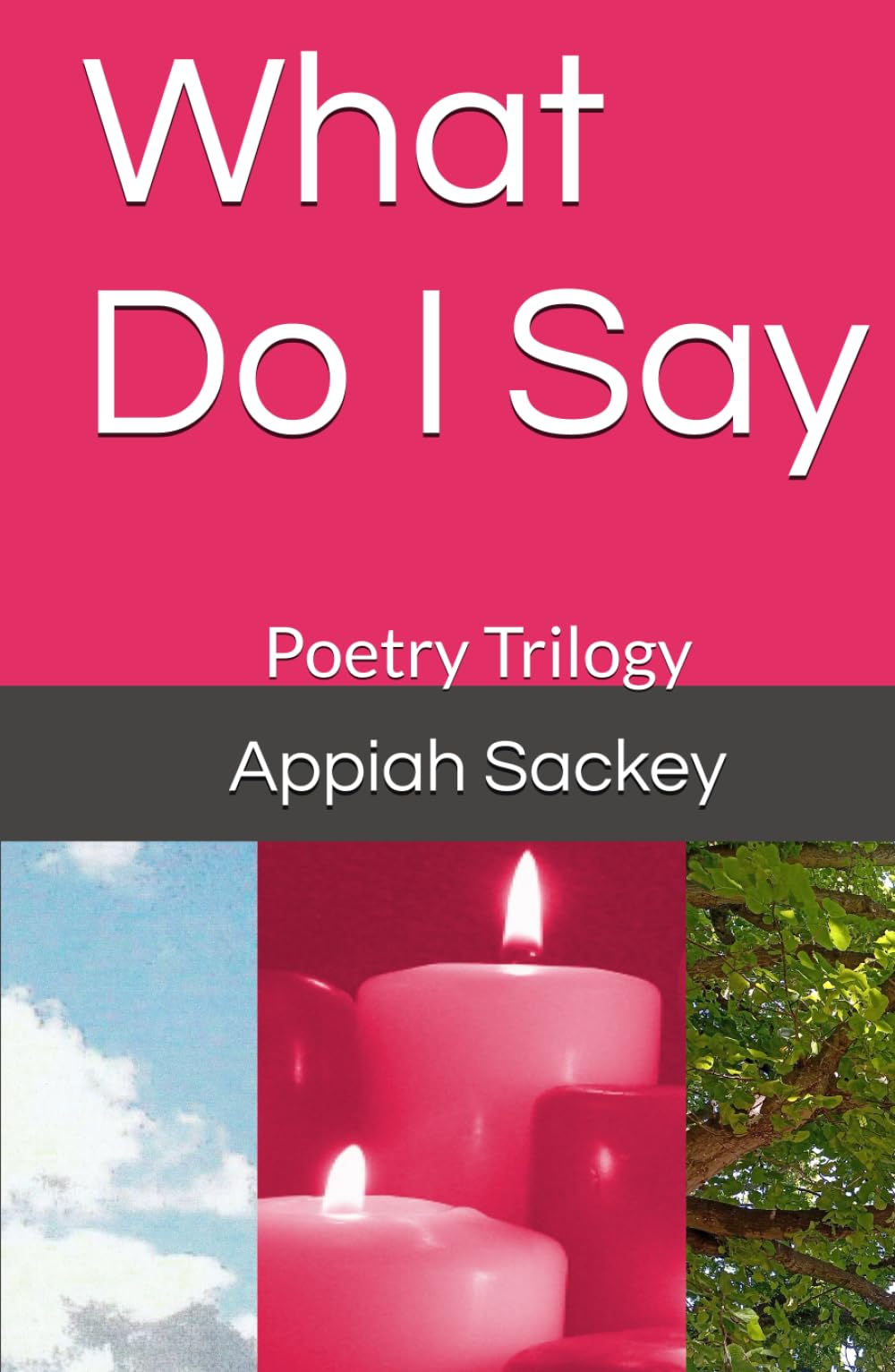What Do I Say: Poetry Trilogy