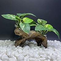 Vista 5 de Smoothedo-Pets Decoraciones de Pecera Acuario Decoración Ornamentos Betta Almohadilla de Hoja de Seda Hamaca Cueva de Madera Flotante Artificial