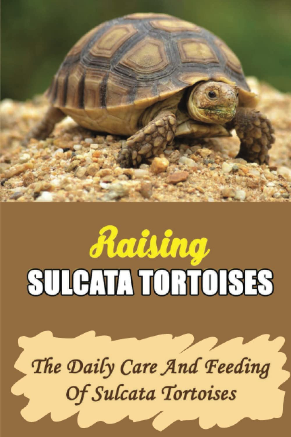 Buy Raising Sulcata Tortoises The Daily Care And Feeding Of Sulcata