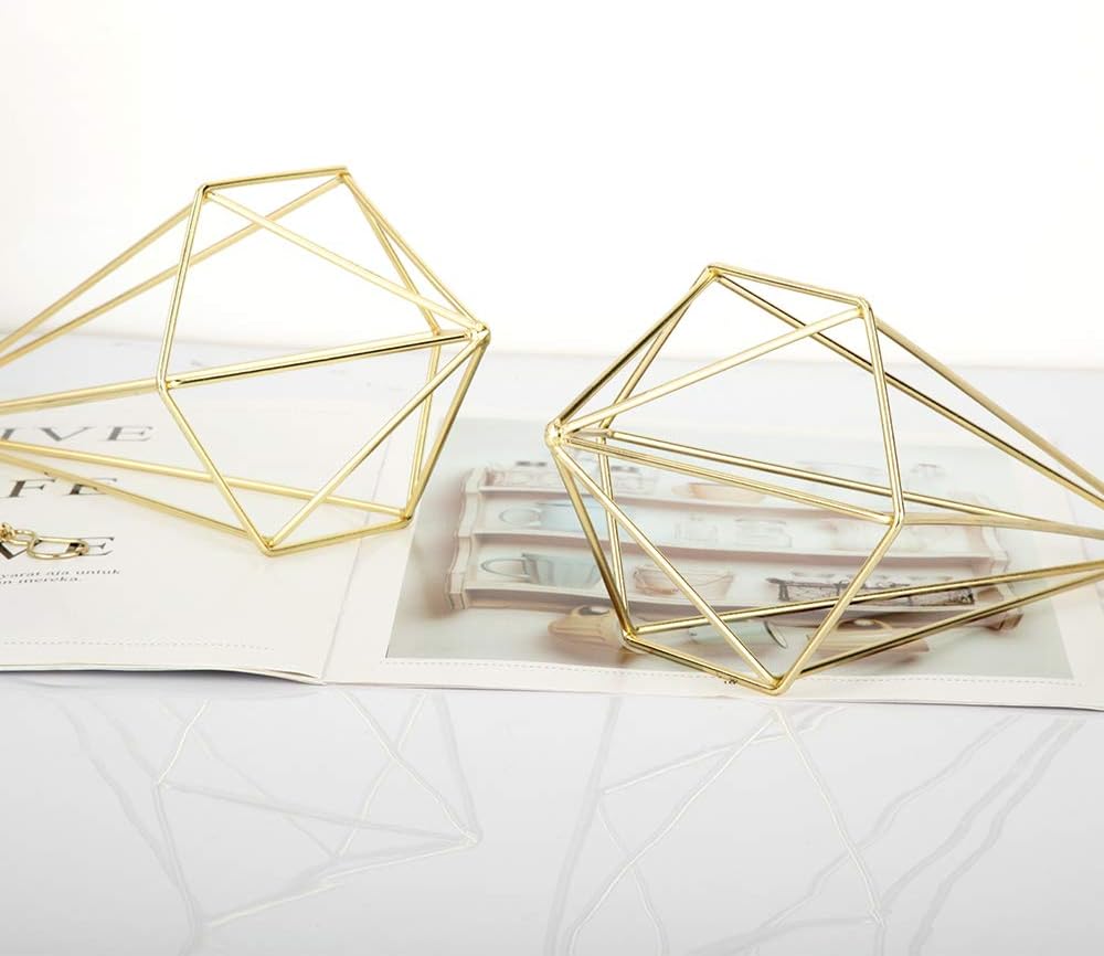 libproqia 2 Packs Golden Hanging Holders for air Plants,Metal Hanging Himmeli Decor,Modern Geometric Planter Tillandsia Air Fern Display for Home Party Office and Wedding Gift Idea