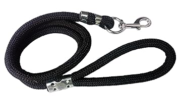 PARAYANTRAM Nylon Thick Pet Dog Cat Neck Collar Harness Leash Rope Belt Patta Chain for Small Medium Large Big Size Dogs Cats Puppy (Black)