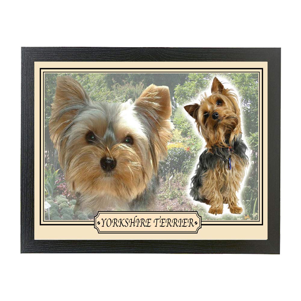 Personalised Gift Products Yorkshire Terrier Dog Breed Framed Picture Gift