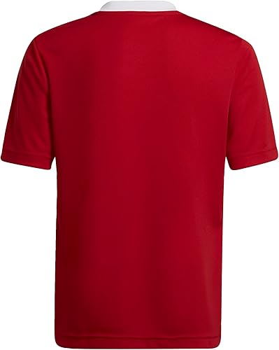 Miniatura 8 de adidas Entrada 22 - Camiseta para niños