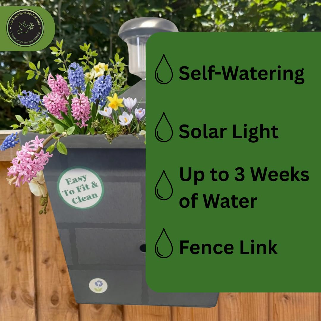 View 2