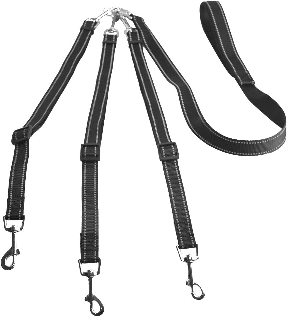 PETFLY Three Dog Leash Reflective Detachable 3 in 1 Dog Leash Multiple Size Adjustable Triple Dog Coupler Leash for Walking One, Two,…