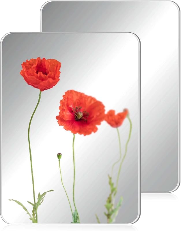 Espelho retangular magnético Blulu para armário, 20,32 cm x 30,48 cm, pacote com 2