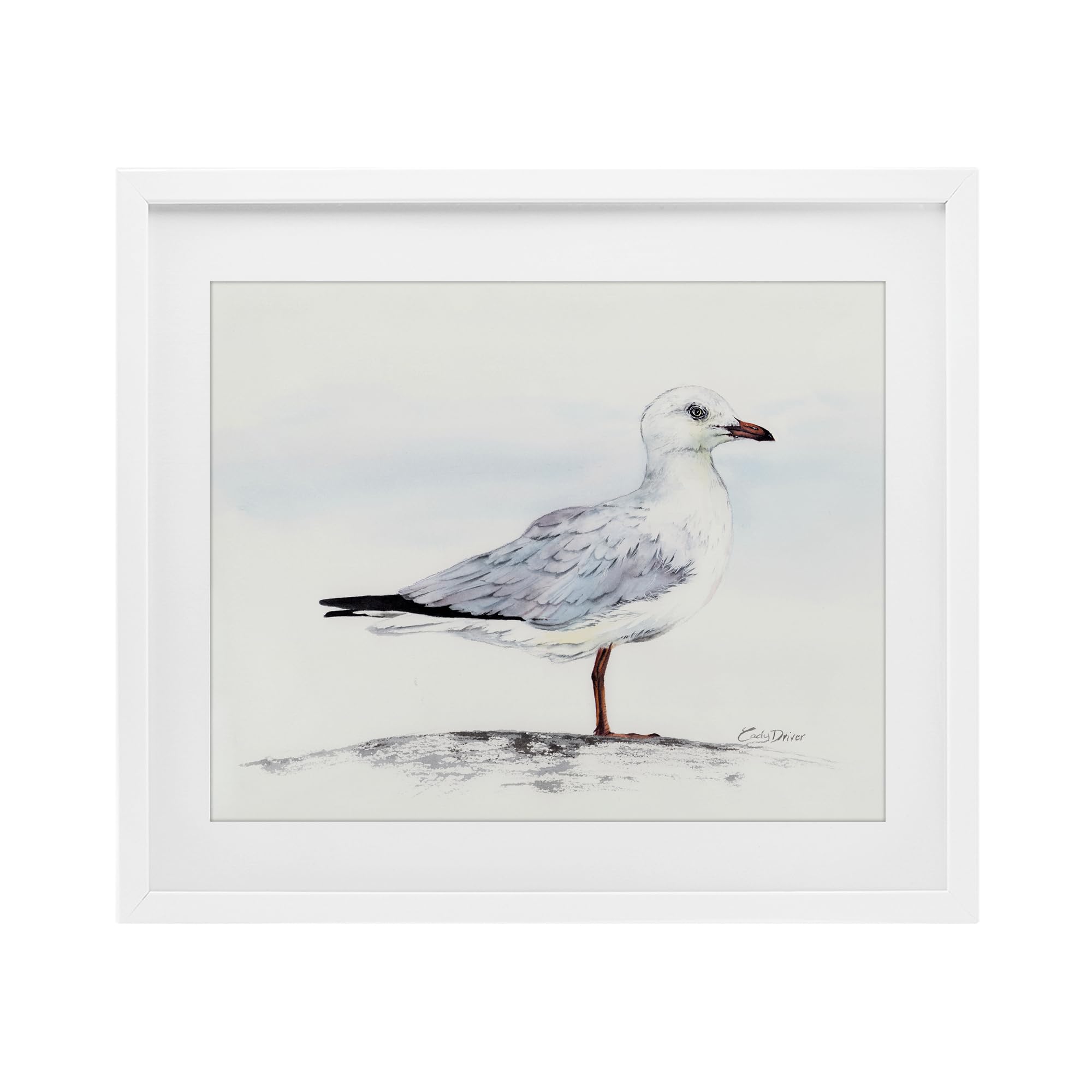 Stupell Industries Seagull On Sand Portrait White Framed Print Under Glass, design by Cady Driver, 13 x 16