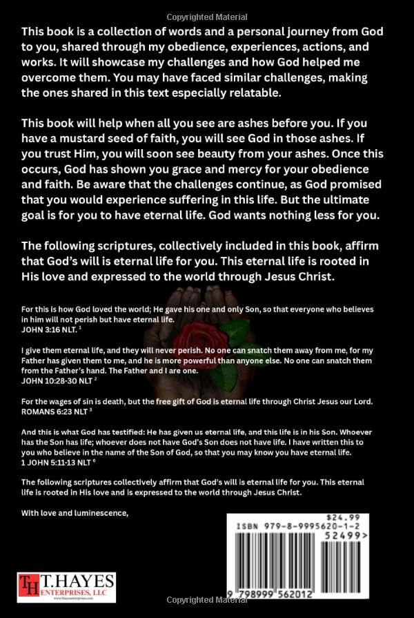 Beauty From Ashes: Applying God's Wisdom To Rebuild, Renew, And Restore Your Life (Beauty From Ashes Series) - Image 2