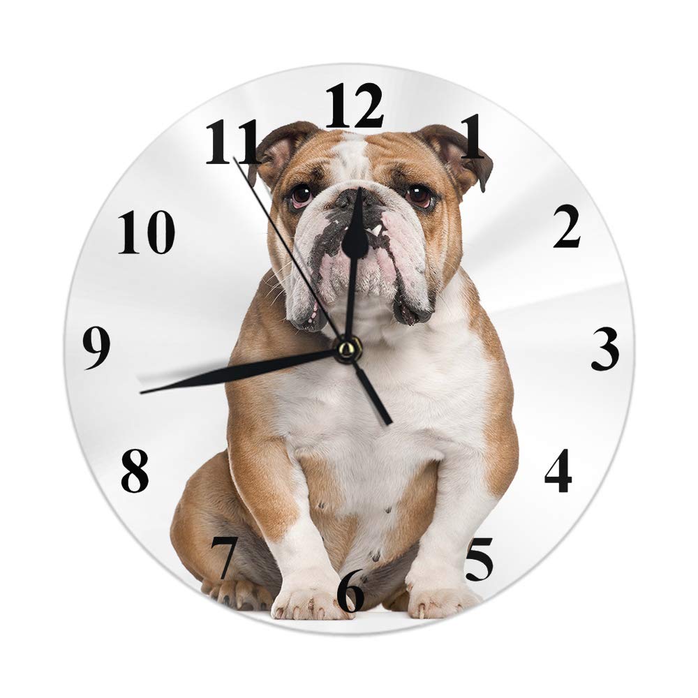 Lsjuee Bulldog Round Wall Clock,English Bulldog 5 Years Old Sitting Against White Background Round Wall Clock Home Garden Wall Decorative for Bedroom Office School Art(10")
