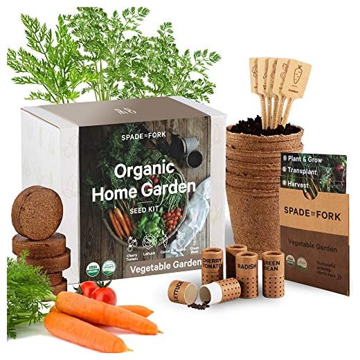 Organic Indoor Vegetable Garden Starter Kit - Made in USA - Certified USDA Organic - 5 Seed Types Cherry Tomato, Lettuce, Carrot, Radish, Green Bean | Indoor Plant Seeds, Indoor Garden Kit, Plant Kit