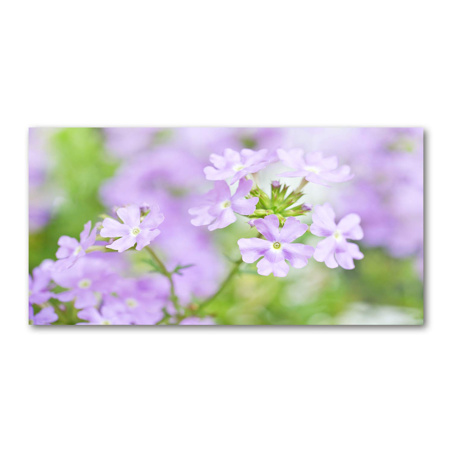 Image en verre acrylique Tulup 120x60cm pour sublimer votre salon moderne