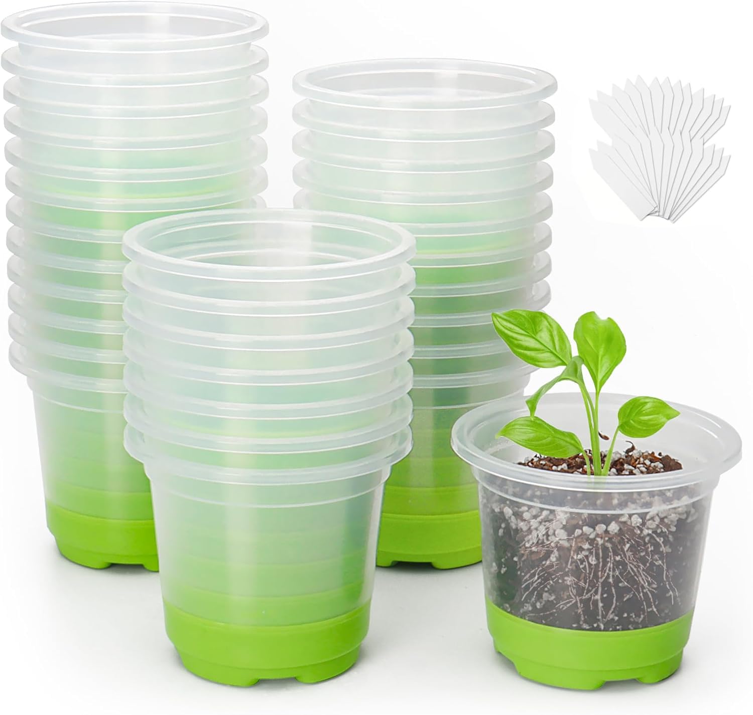 Vasi da coltivazione, 24 pezzi, 10 cm, trasparenti con base in silicone, Vasi per piante in plastica riutilizzabili, Vasi per piante trasparenti per piante grasse, Piantine per piante, Verde