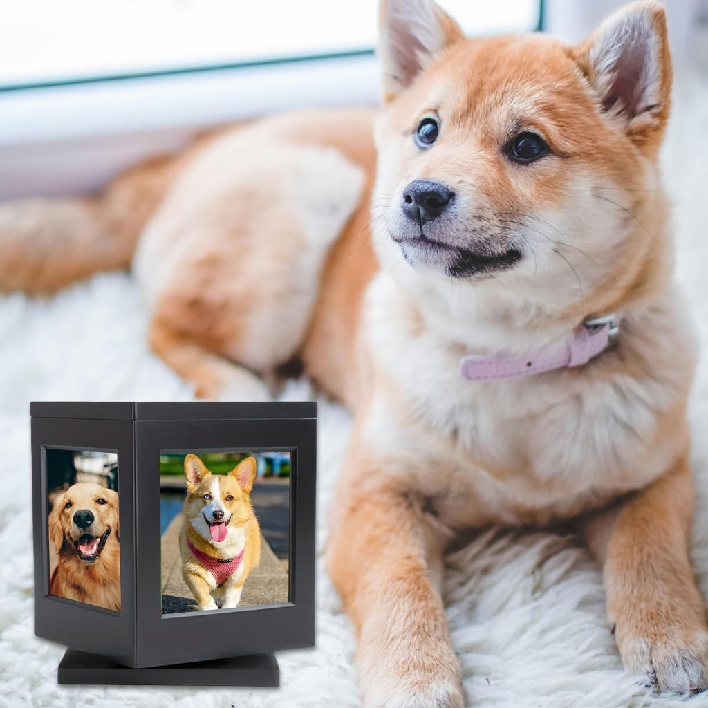 Pet Cremation Box Frame Memorial Box Gift for Pet Owners Photo Display Frame