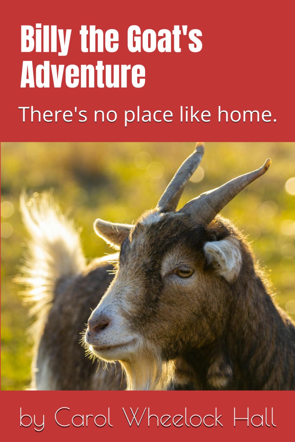 Billy the Goat's Adventure: There's no place like home.