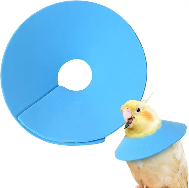 Collare Protettivo Regolabile per Parrocchetti - Prevenzione Morsi e Ferite