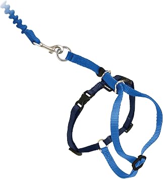 PetSafe Come With Me Kitty harness and bungee leash royal blue