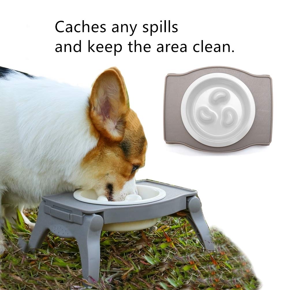 Elevated Pet Bowl Stand for Small and Medium Dogs with Slow Feeder Bowl