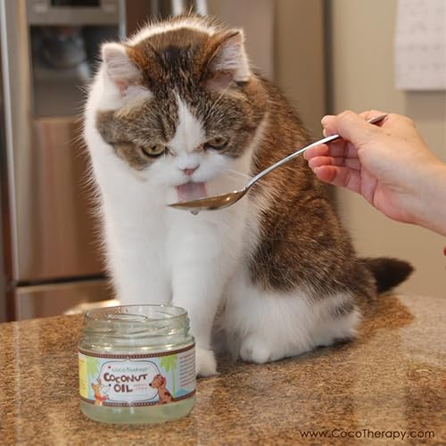 Miniatura 3 de CocoTherapy Aceite de coco virgen orgánico, 8 onzas, suplemento natural para la digestión e inmunidad del pelaje de la piel del perro