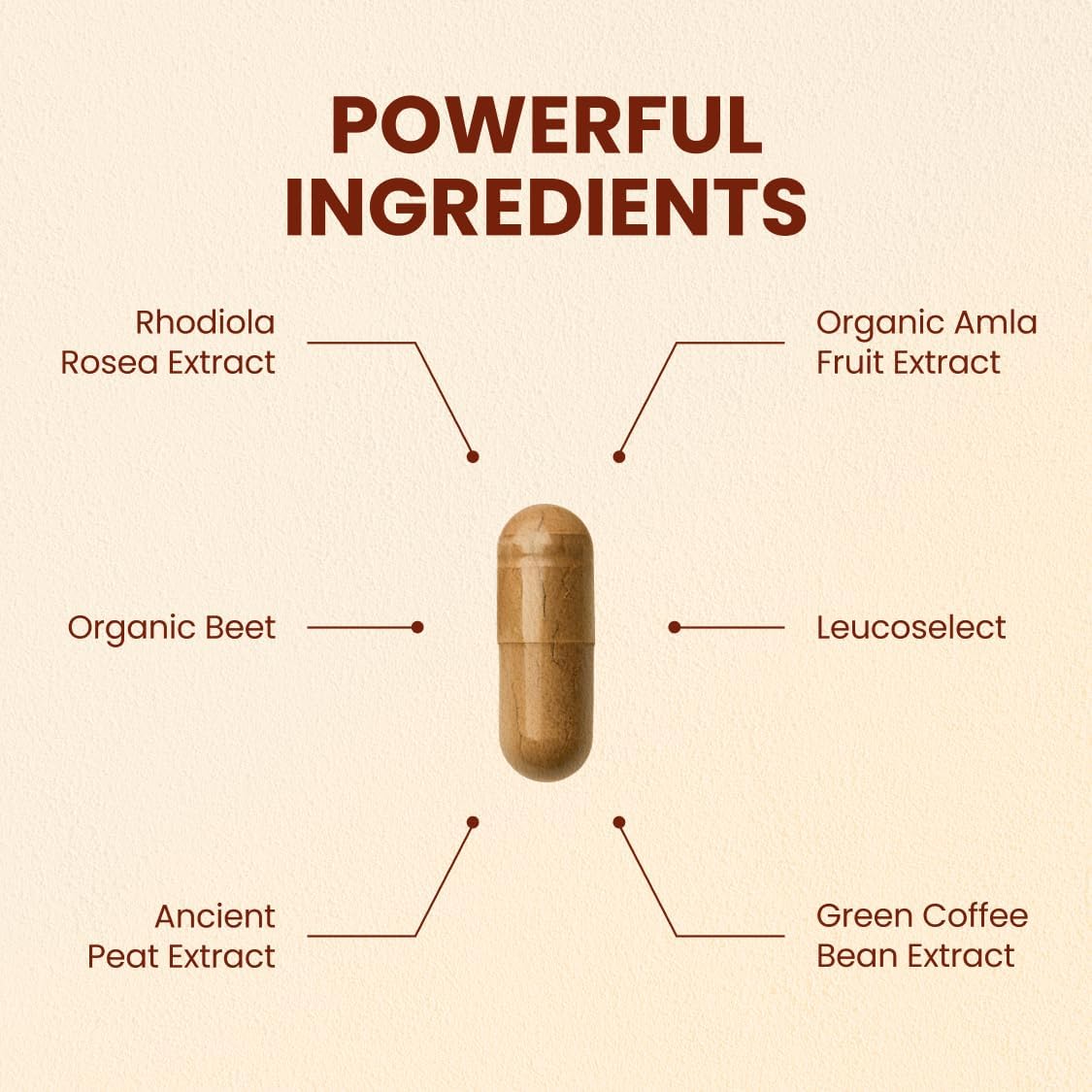 CHOQ Action 2.0 Energy & Circulation Support - Rhodiola Rosea, Beetroot & B12 Supplement - Nitric Oxide Booster for Men & Women - Focus & Recovery - 90 Capsules - Image 2