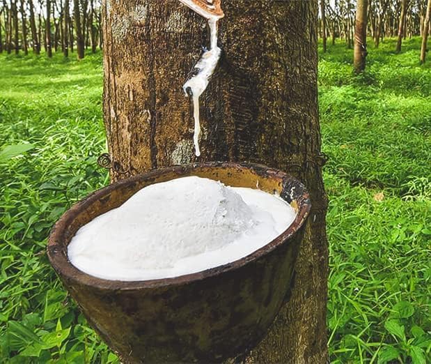 Dunlop Latex Mattress Topper - Medium - 2