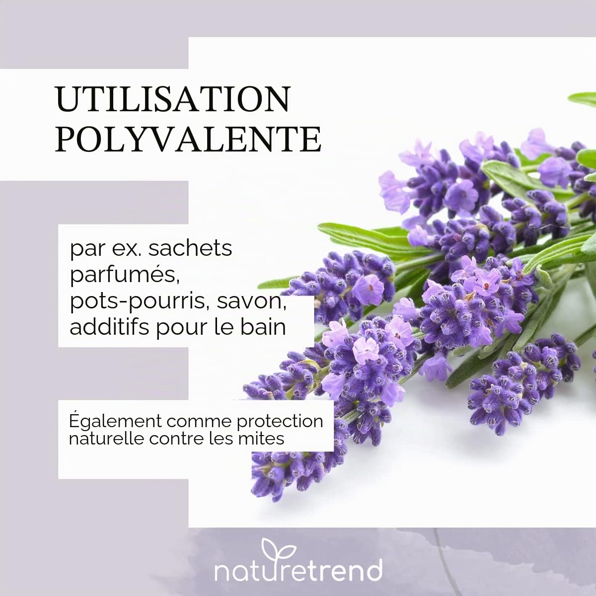 naturetrend Fleurs de Lavande séchées 1 kg – Lavande française de Provence I Dernière récolte I Parfum Intense et bleuâtre – pour Coussins parfumés, Pot-pourri