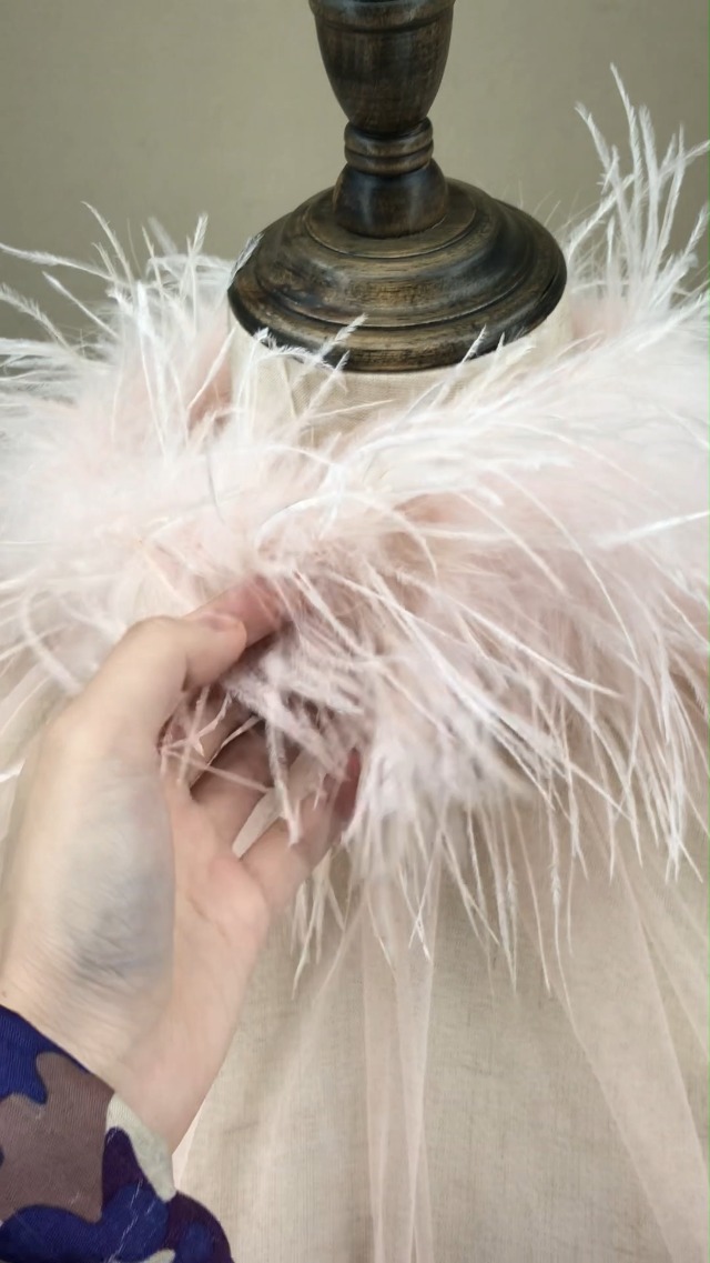 Mesh Top for Women with Ostrich Feather Trim Gothic Clothes