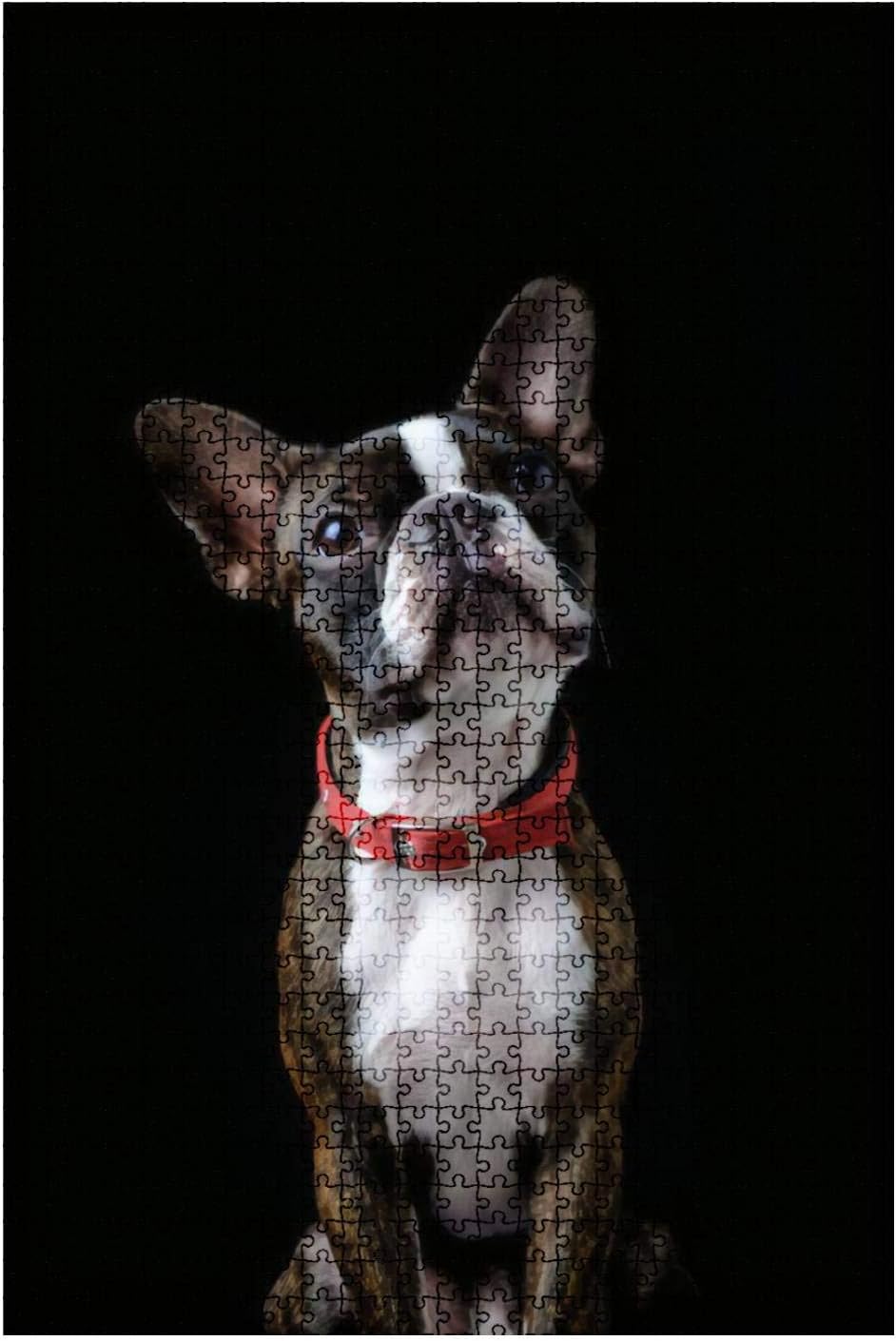 1000 Pieces Wooden Jigsaw Puzzle Boxer Dog Dog Portrait Fun and Challenging Board Puzzles for Adult Kids Large DIY Educational Game Toys Gift Home Decor