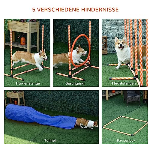 PawHut Hunde Agility Set 5-teiliges Hundetrainigsset Agility-Ausrüstung für Hundetraining, Steckhürdenset mit Hundetunnel, Slalomstangen, höhenverstellbar Hürden Trainingszubehör für Spiele Training