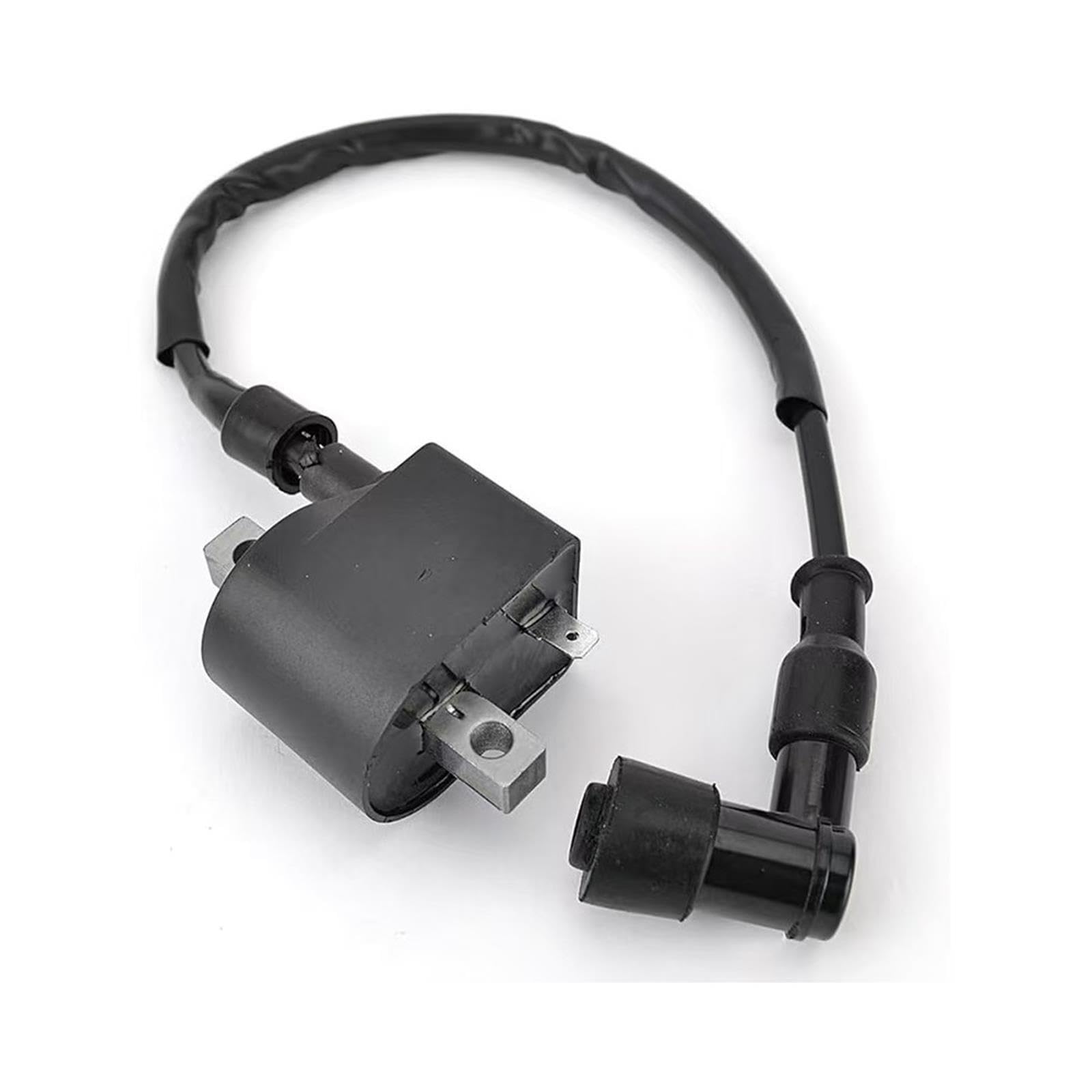 Für Suzuki JR50 LT50 LT-A50 ALT50 AX100 A100 AK100 FR80 Zündspule Dirt Bike Zubehör 33410-17310 33410-04730 33410-35340