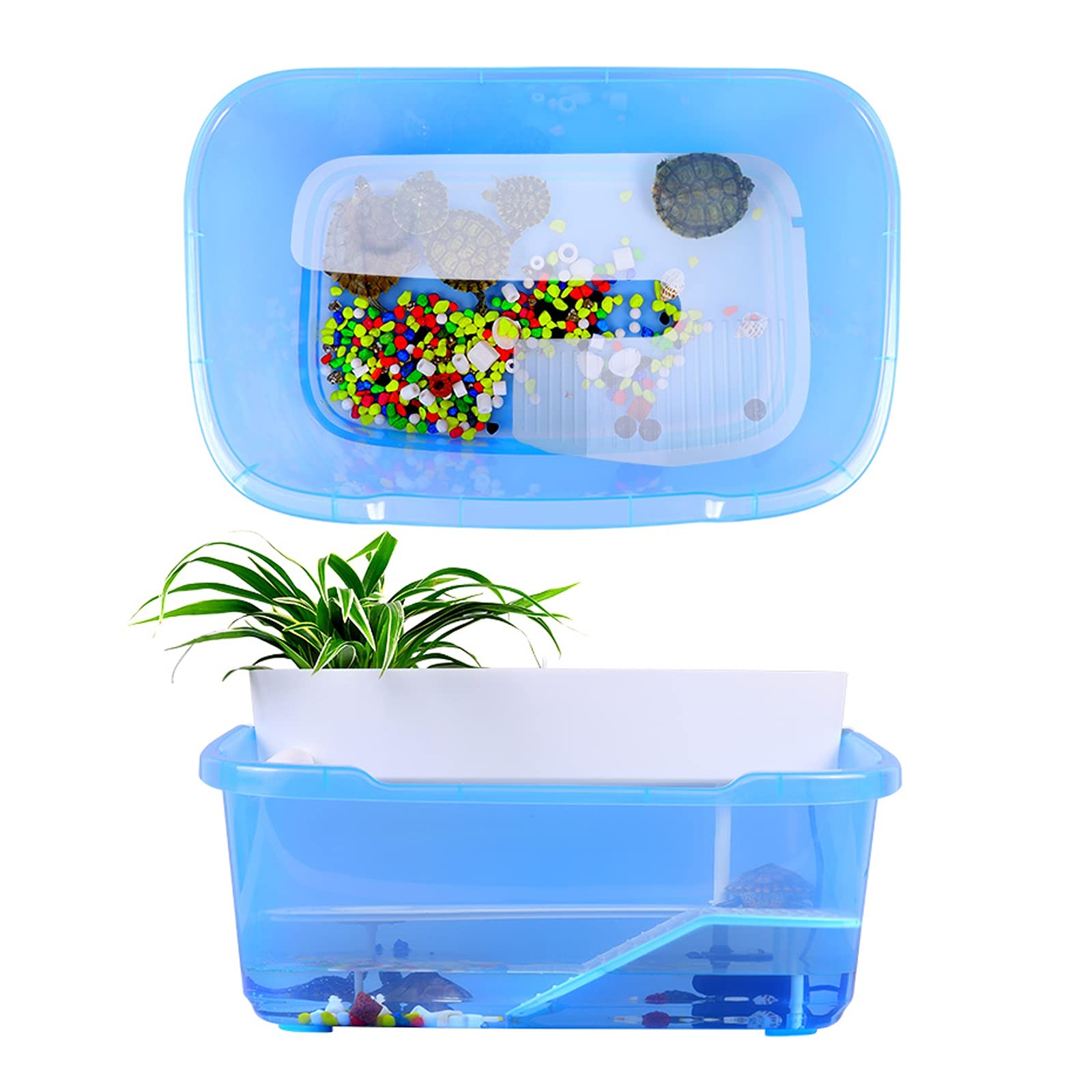 Serbatoio di tartaruga Tartaruga Tartaruga Terrario Famiglia Free Water Change Cintura Cintura Piattaforma Asciugatura Tortoise brasiliano Grande tartaruga speciale for animali domestici per Interni E