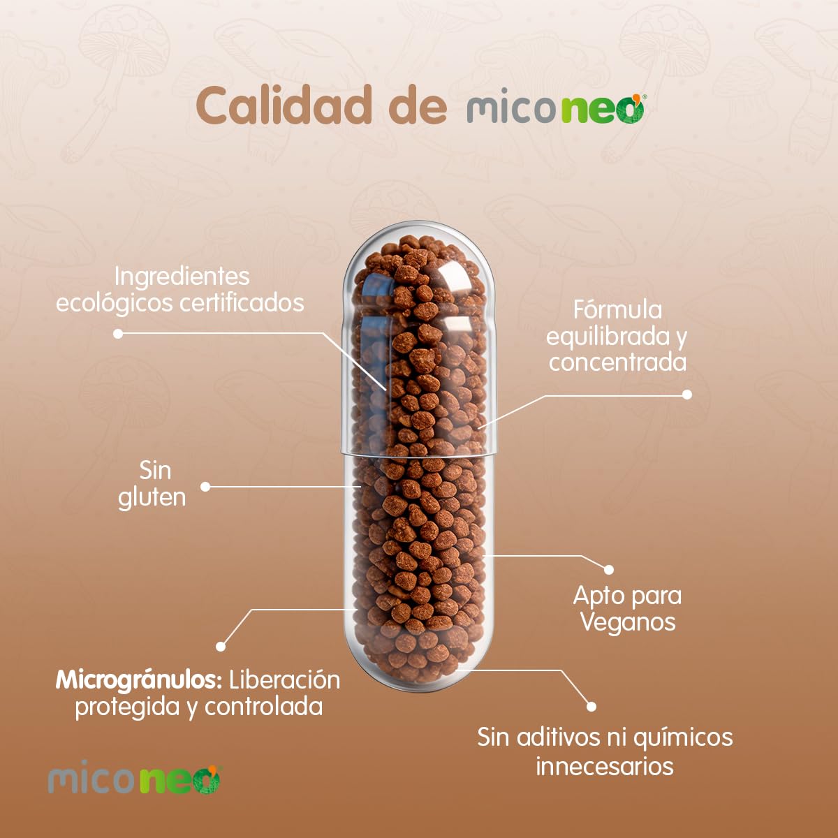 Mico NEO | Hongos Melena de León | Apoyo Digestivo Natural | Apto para Vegetarianos | Sin Gluten ni Derivados Lácteos | Microgránulos NEO | 60 Cápsulas