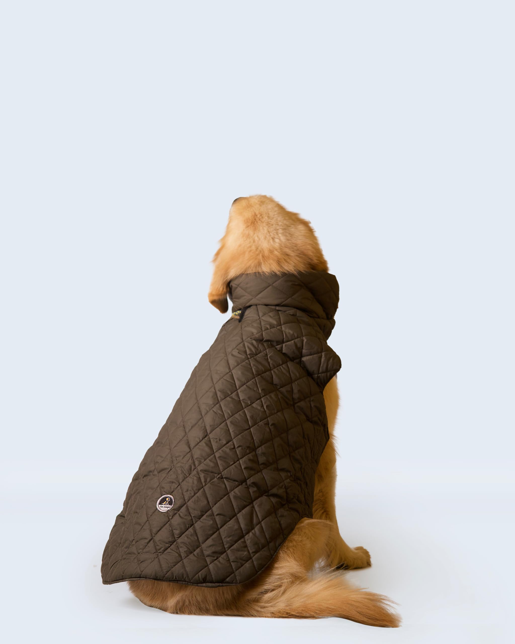 Petsnugs Olive Green Jacket, Winter Wear Suitable for Dogs and Cats, Dog & Cat Jackets, Olive Green Quilted Jackets (L) (B0CB4CXH3G) Amazon Price History, Amazon Price Tracker