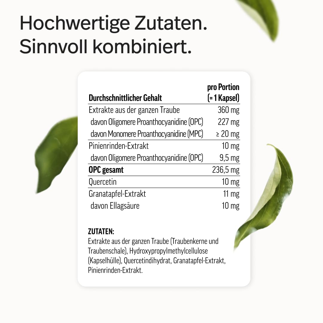 edubily® OPC-Komplex aus französischen Trauben - besonders reich an OPC und MPC - Laborgeprüft - Im Braunglas (60 Kapseln)