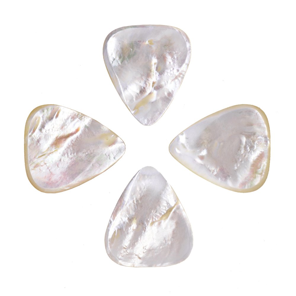Timber Tones Shell Tones - Confezione di 4 plettri in contenitore di latta, motivi vari