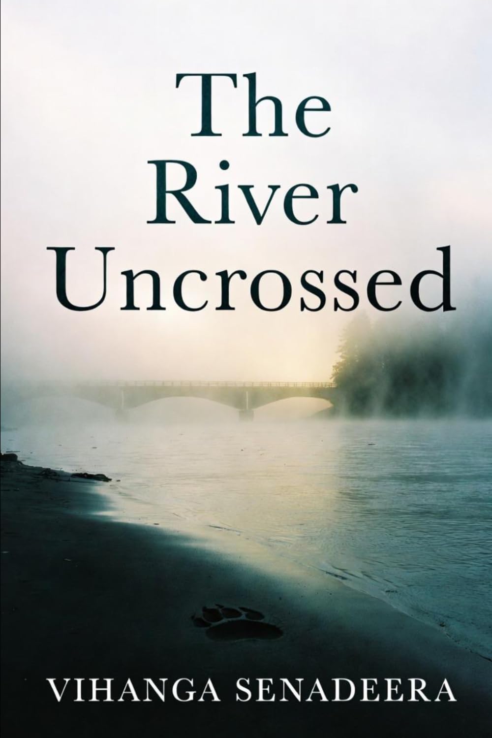 The River Uncrossed: A Literary Novel of Family, Migration, and the Weight of What We Leave Behind