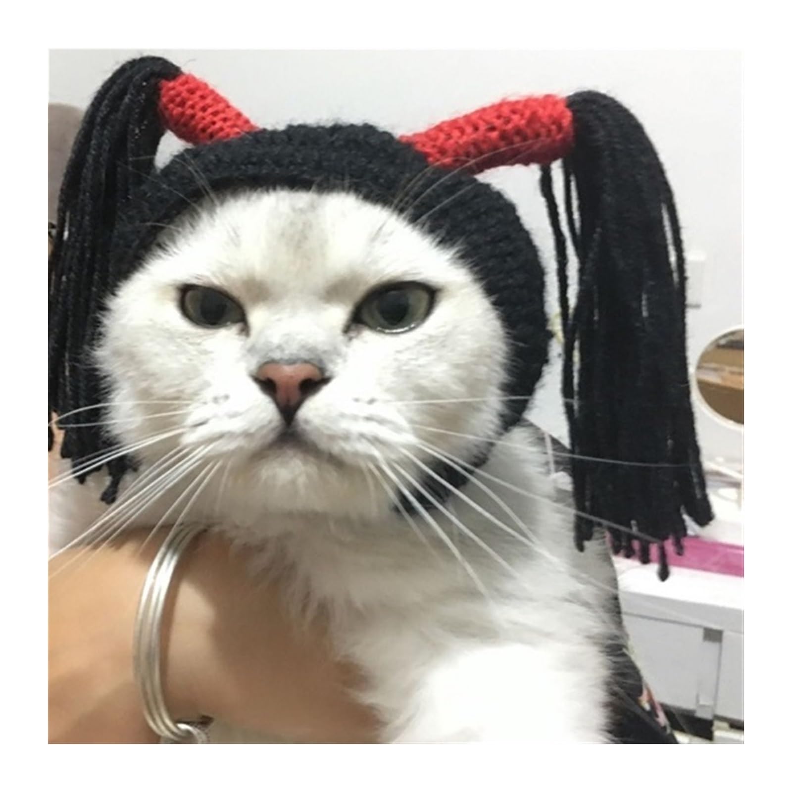 REITINGE Hut Grüner Bär Tricorne - Verstellbare Kopfbedeckung Für Hunde & Katzen