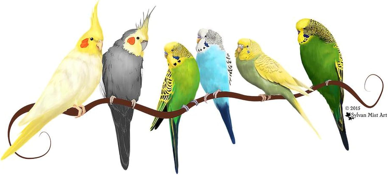 CafePress Parakeets & Cockatiels Throw Blanket Super Soft Fleece Plush Throw Blanket, 60"x50"