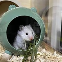 Vista 2 de Marchul Escondite de hámster, decoración de hábitats de casa para hámster enano jerbos de hámsteres sirios (verde)