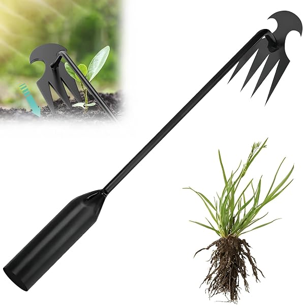 Garden Weed Extractor, Stainless Steel Manual Weeder, Remove Weed Weeds Garden, Manual Weeding Tool, Weeding Rake for Patio, Lawn, Gardening - 1
