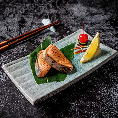 Uaral Sushi Plate Japanese Plates Ceramic Teppanyaki Plate,8.5Inch,4 Piece Rectangle Sushi Dishes(Light Blue) #TOP3