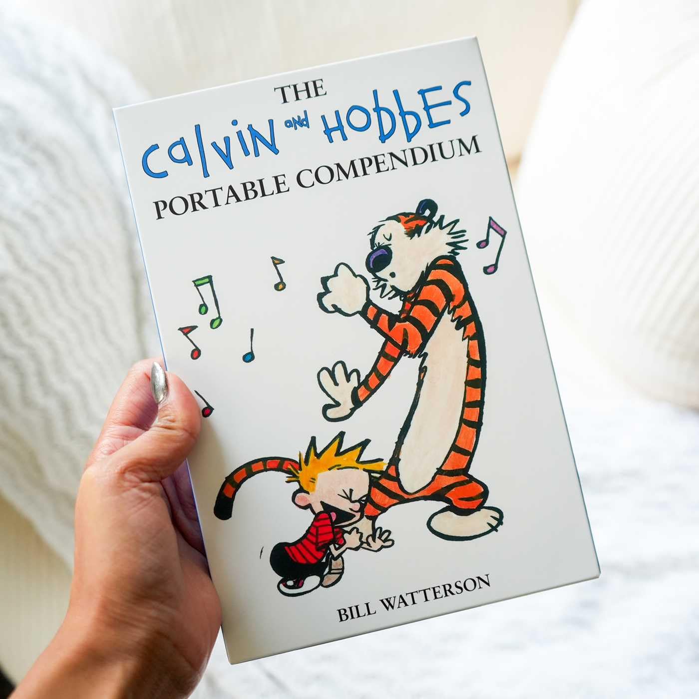 Calvin and Hobbes Portable Compendium Set 6: Volume 6
