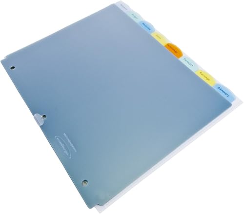 Wilson Jones View-Tab - Separadores transparentes, 8 pestañas cuadradas, tamaño carta, transparente, 6 juegos por paquete (W55020)