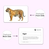 Vista 4 de Hungry Brain Tarjetas didácticas de números para niños (3 meses o más), tarjetas didácticas para bebés de aprendizaje temprano para niños pequeños