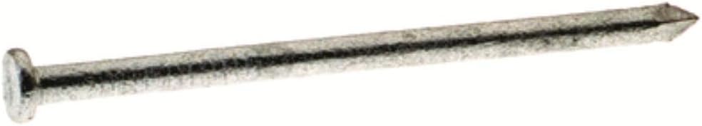Fox Sterling Fasteners Galvanized Common Nail 20d 5lb