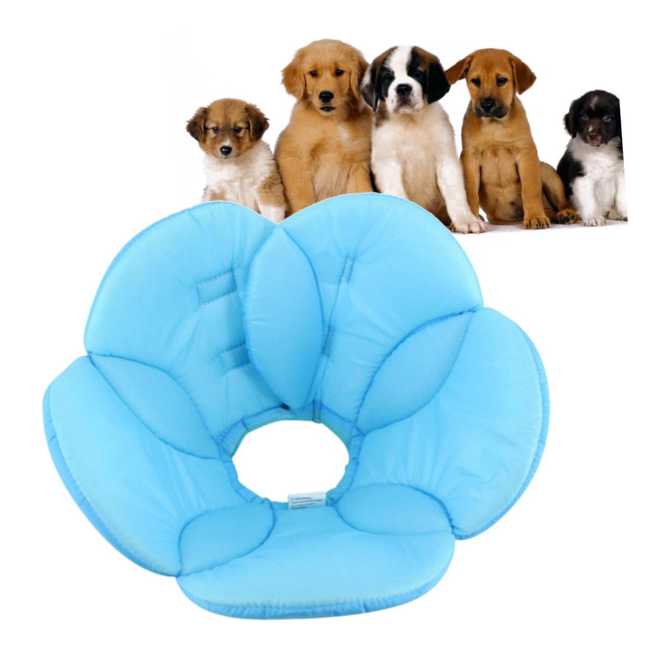 BESPORTBLE 3 para Collar De Mordedura De Perro para Mascotas