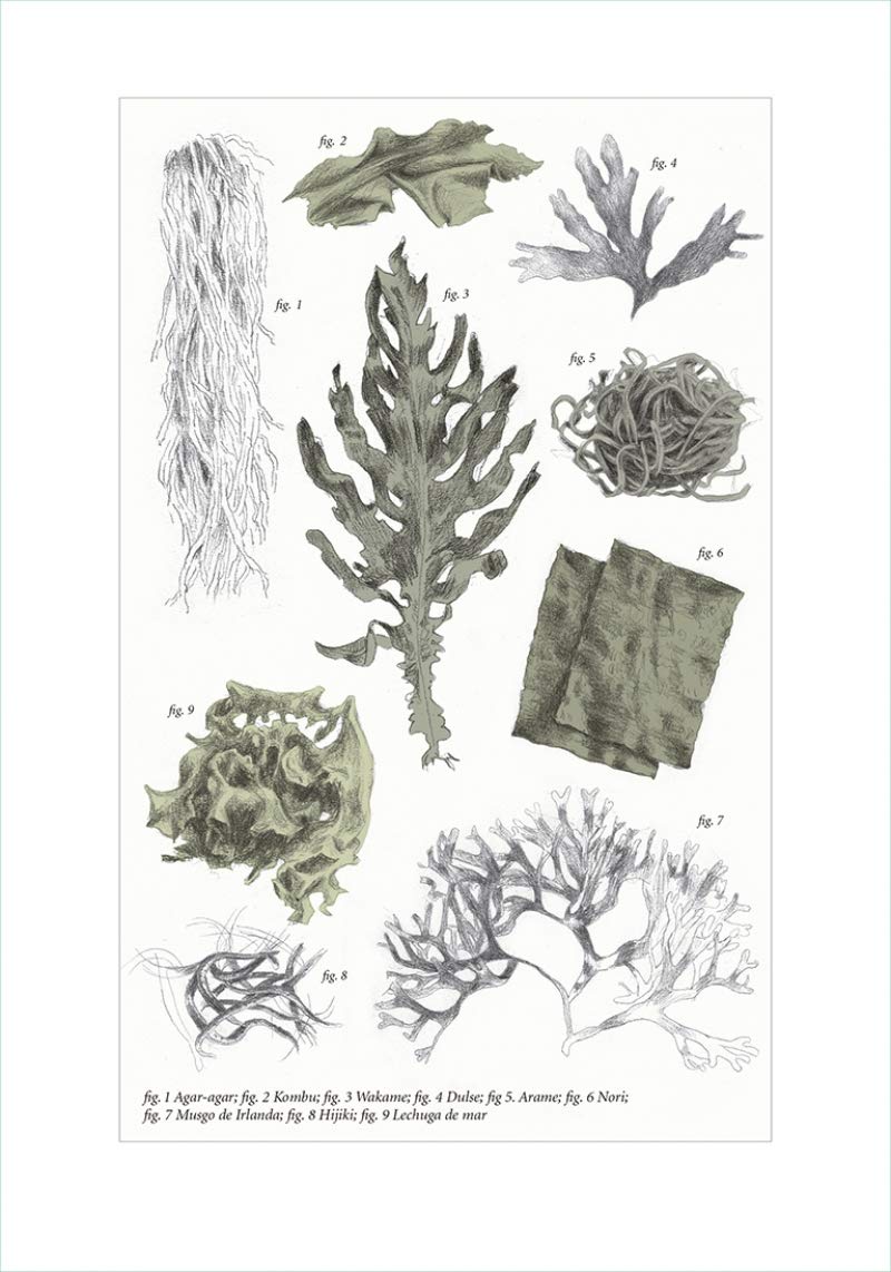 1460 recetas para disfrutar las verduras todo el año (Cocina)