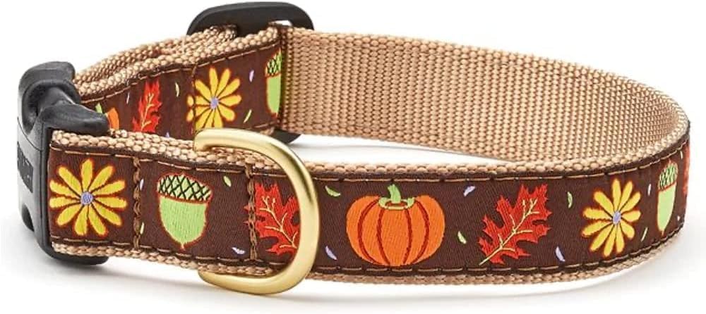 Up Country Harvest Time Dog Leash (4 Foot Long 5/8 Inch Narrow Width)
