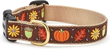 Up Country Harvest Time Pattern Dog Collar, X-Small 6 To 12 Inches 5/8 Inch Narrow Width