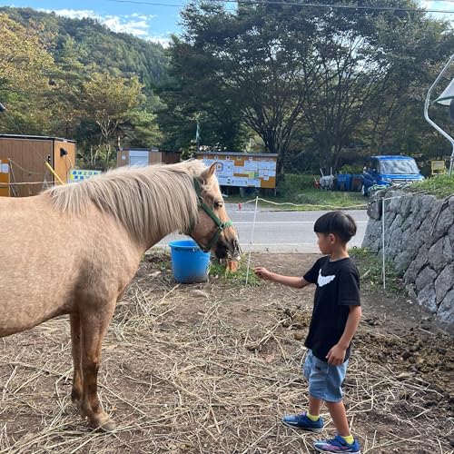 099 自然災害と自然体験（後編）〜「ただ、そこにいる」馬の存在　―つながりが心を癒すとき―